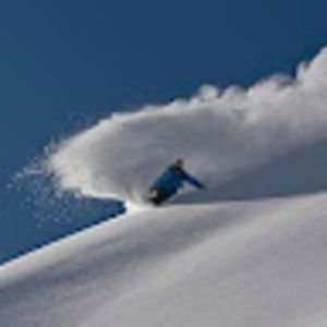 Meet your Posher, Steve